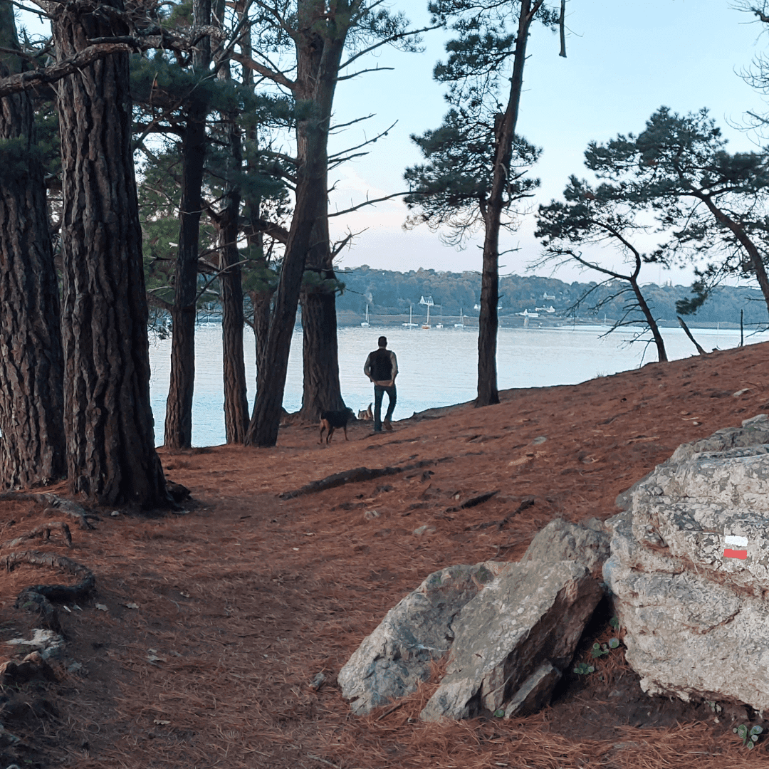 Chomadenn natur & bale